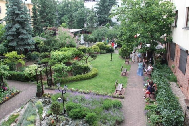 Zdjęcie ogrodu w Warszawskim Domu Seniora.
