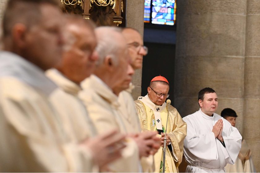 Scena liturgiczna z wyraźną grą głębi ostrości. Na drugim planie ostry kadr na dostojnika kościelnego w złotych szatach i czerwonej piusce, pochylonego do modlitwy przy mikrofonie; obok asysta w białej albie. Na pierwszym planie rozmyty rząd celebransów w kremowych ornatach. W tle fragment kamiennego filara i kolorowe witraże.